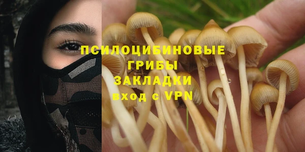 стафф Балахна