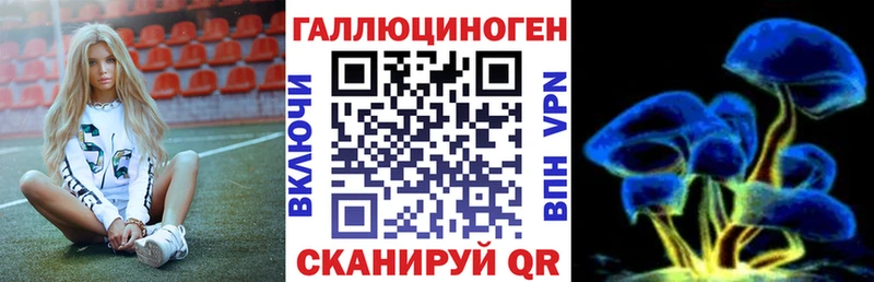 shop телеграм Корсаков Псилоцибиновые грибы MAGIC MUSHROOMS